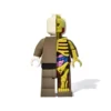 Premium Half-Anatomy Designer Art Toy Limited-Edition Pop Culture Collectible Figurine for Contemporary Enthusiasts