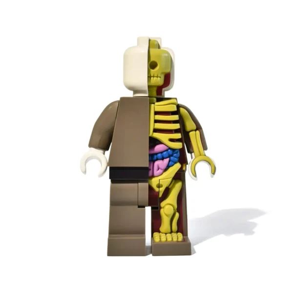 Premium Half-Anatomy Designer Art Toy Limited-Edition Pop Culture Collectible Figurine for Contemporary Enthusiasts