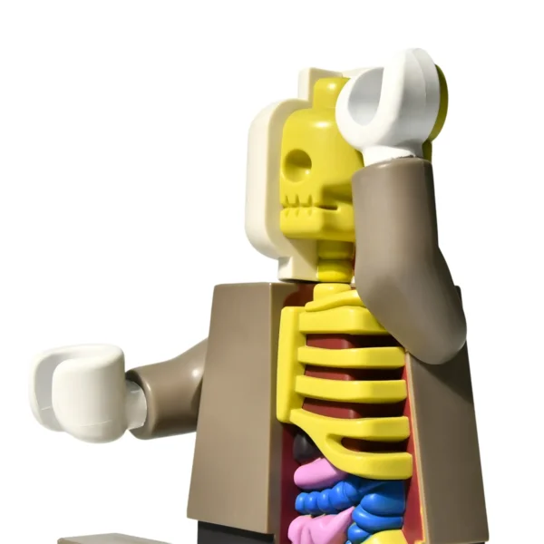 Premium Half-Anatomy Designer Art Toy Limited-Edition Pop Culture Collectible Figurine for Contemporary Enthusiasts