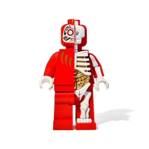 6 Inch PVC Anatomy Action Figure Affordable Pop Culture Collectible Anime Model For Fans & Artists