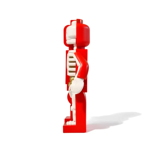 6 Inch PVC Anatomy Action Figure Affordable Pop Culture Collectible Anime Model For Fans & Artists