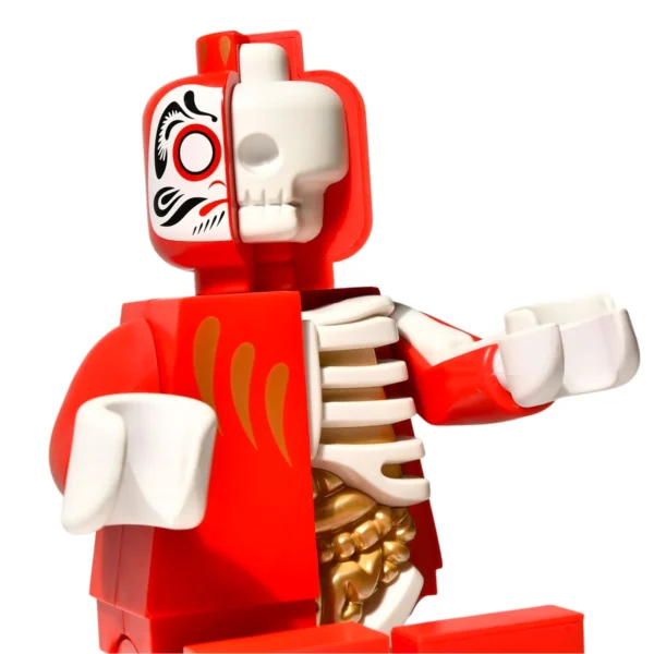 6 Inch PVC Anatomy Action Figure Affordable Pop Culture Collectible Anime Model For Fans & Artists