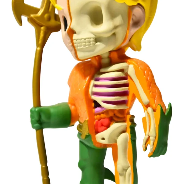 Best Aquaman Anatomy PVC Anime Figurine Manga & Pop Culture Collectible Series Collection