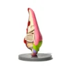 海绵宝宝 (2) Anatomy Starfish PVC Figurine Best Custom 3D Printed Pop Culture Collectible Life Size Anime Figurine