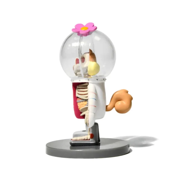 海绵宝宝 (44) Anatomy Astronaut Squirrel PVC Figurine Hot Pop Culture Character Collectible Life Size 3D Printed Anime Figurine