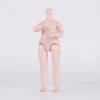1/6 BJD Doll OB11 Body 16cm Blind Box BJD PVC BJD Doll Model DIY Gift for Doll Collectors