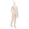 1/6 BJD Doll 30cm 22-Joint PVC Body Blind Box BJD Custom BJD Doll DIY Gift for Girls Collectors